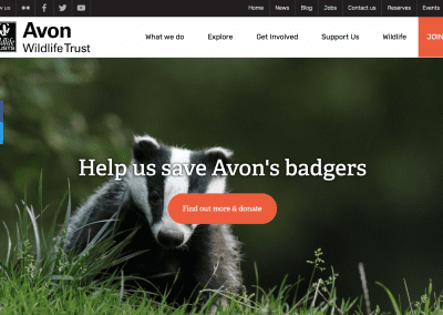 Avon Wildlife Trust: Badgers and TB Vaccination