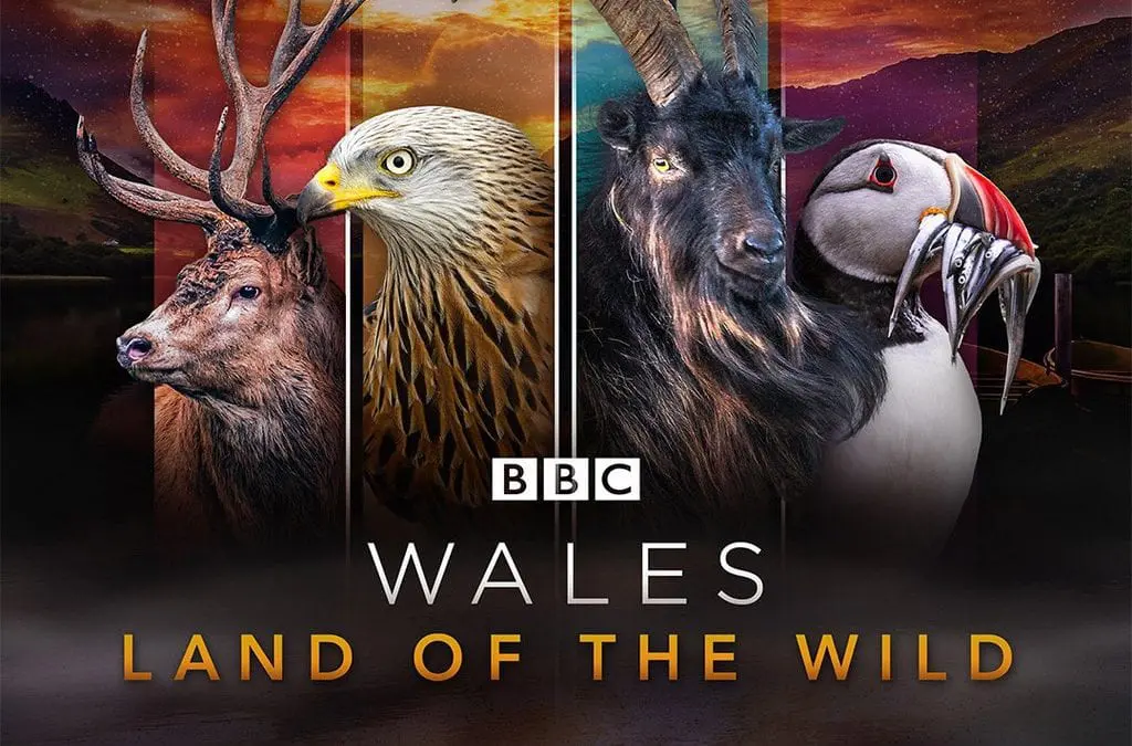 Wales Land of the wild 2019