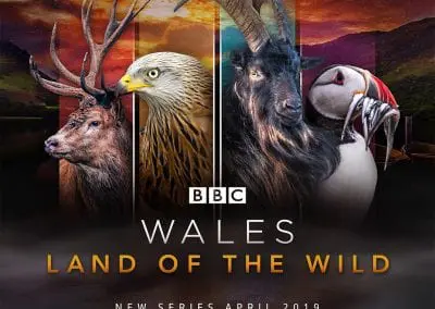 Wales Land of the wild 2019