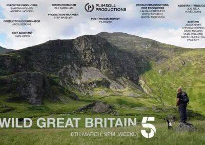 Wild Britain 2018