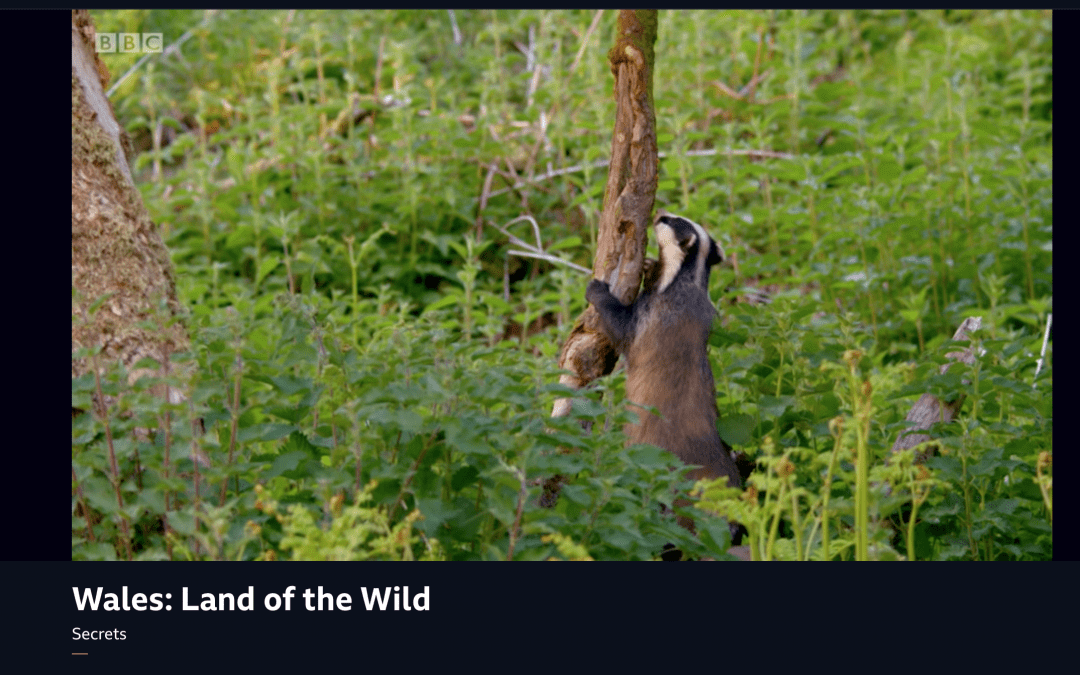 Wales: Land of the wild. Secrets.